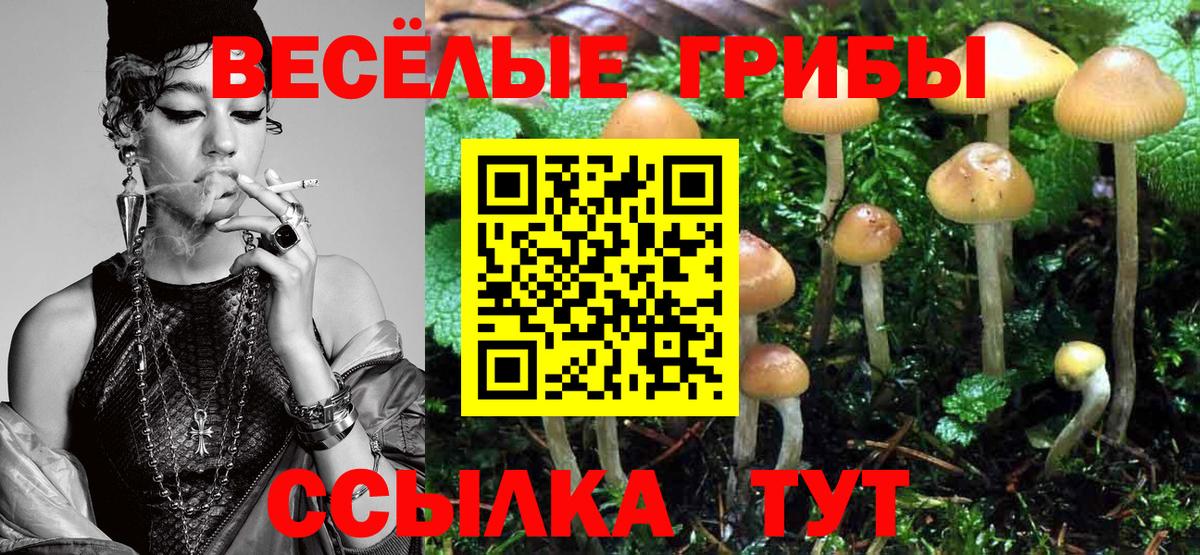 Псилоцибиновые грибы Cubensis Королёв